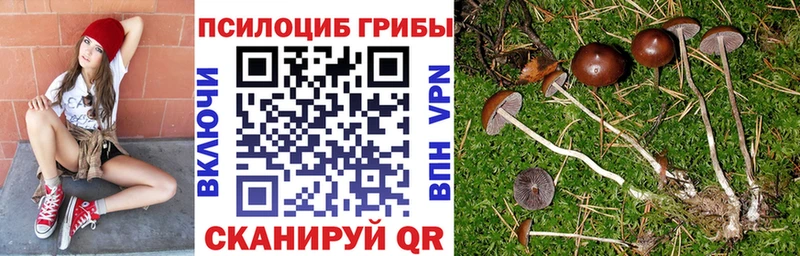Купить закладки  Гаврилов Посад  Псилоцибиновые грибы прущие грибы 